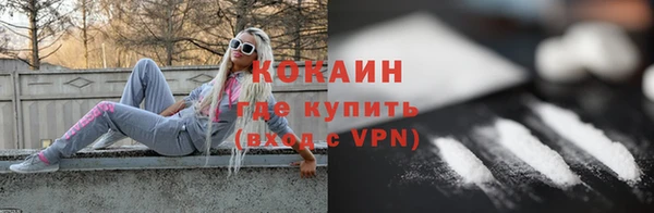 шишки Армянск