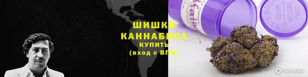 шишки Армянск