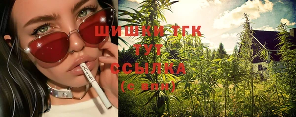 кокс Арсеньев