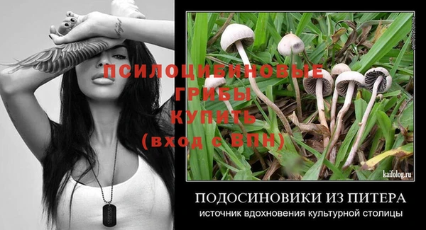 кокс Арсеньев