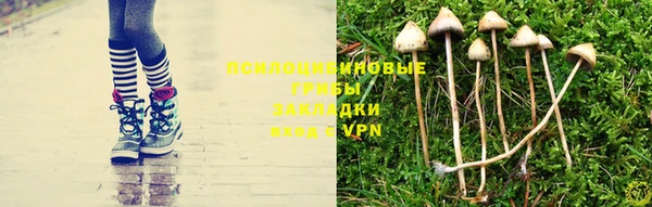 кокс Арсеньев
